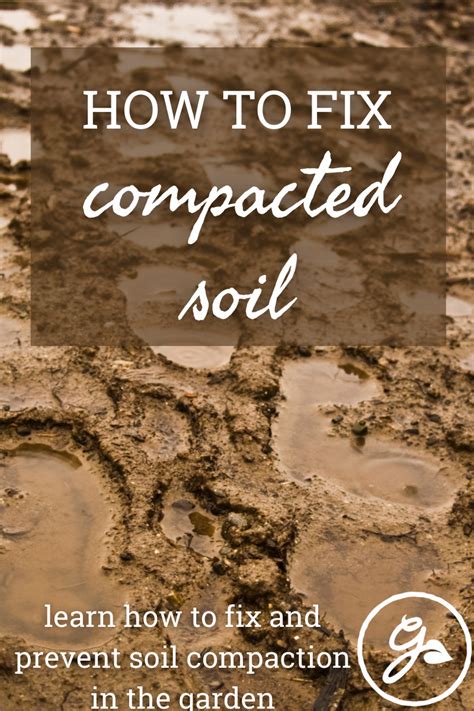 How to fix soil compaction 